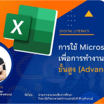 การใช้ Microsoft Excel เพื่อการทำงานขั้นสูง (Advanced)